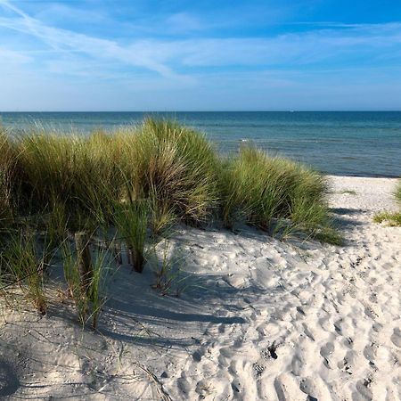 Haus Suedwester Hummer Insel Poel Kültér fotó