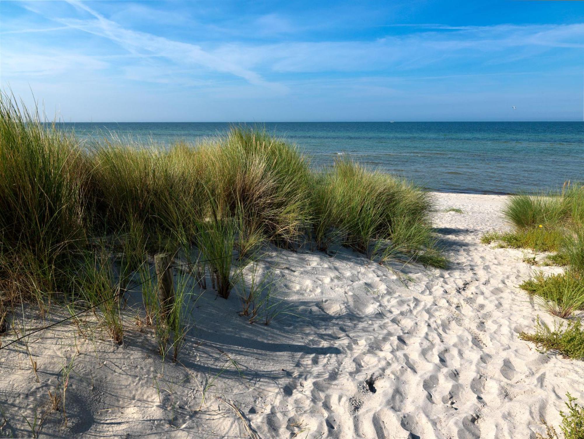 Haus Suedwester Hummer Insel Poel Kültér fotó